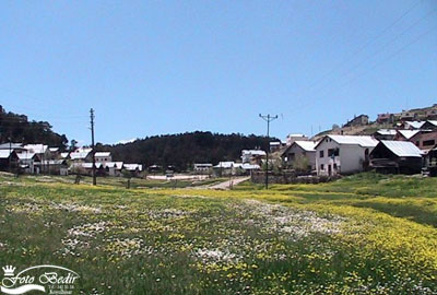 Koyulhisar E�ri�men Yaylas�