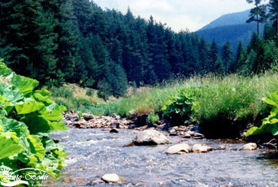 E�ri�men Yayla G�zellikleri